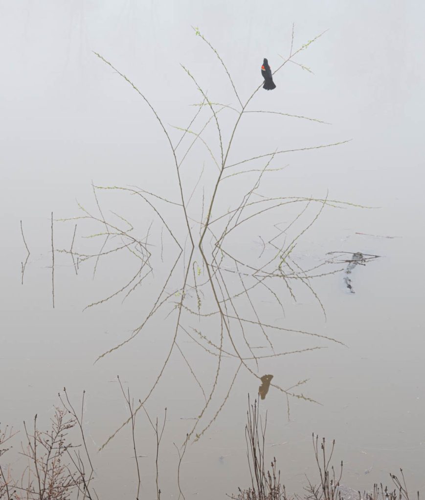 DSCF3808.jpg