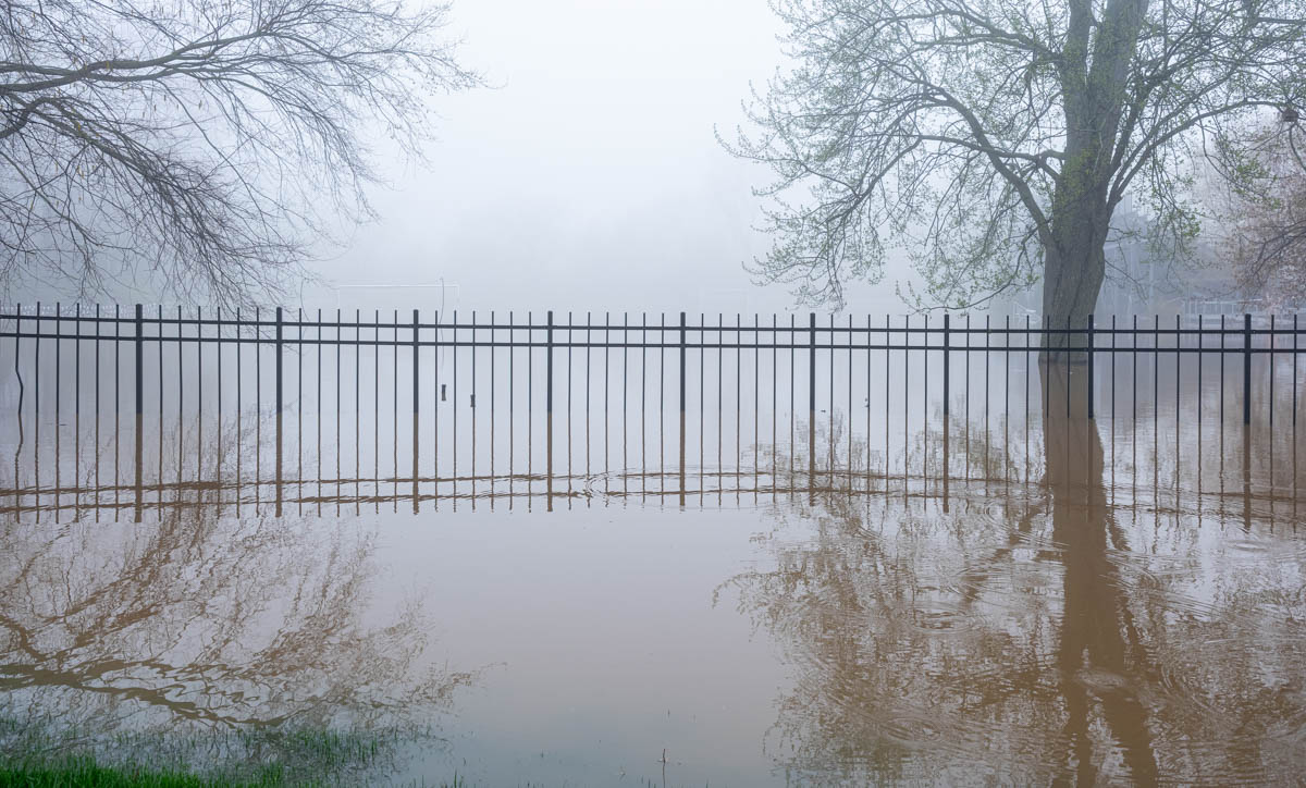 Foggy, Flooded, Friday