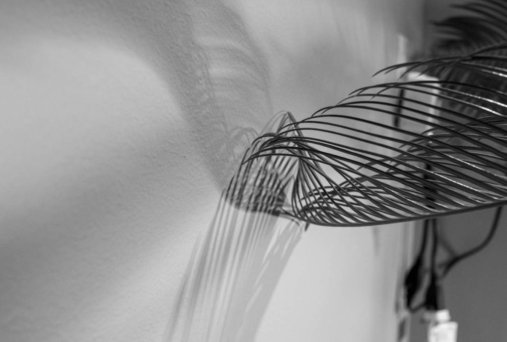 L1041317.jpg
