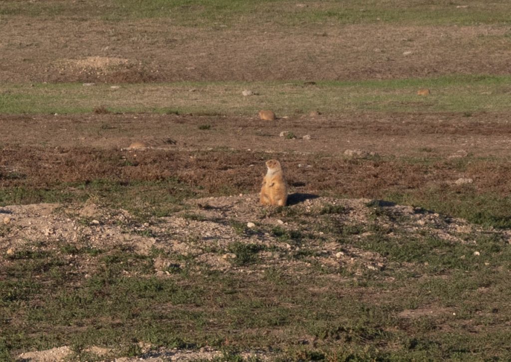 DSCF5545.jpg