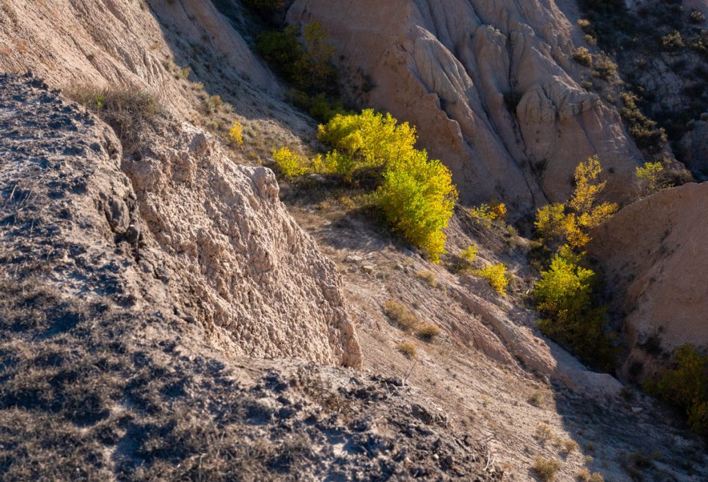 DSCF5563.jpg