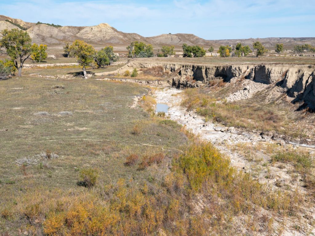 DSCF5661.jpg