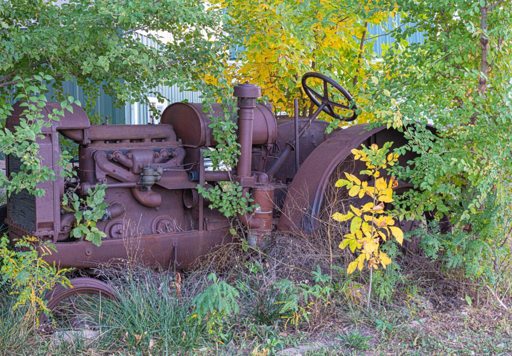DSCF5755.jpg