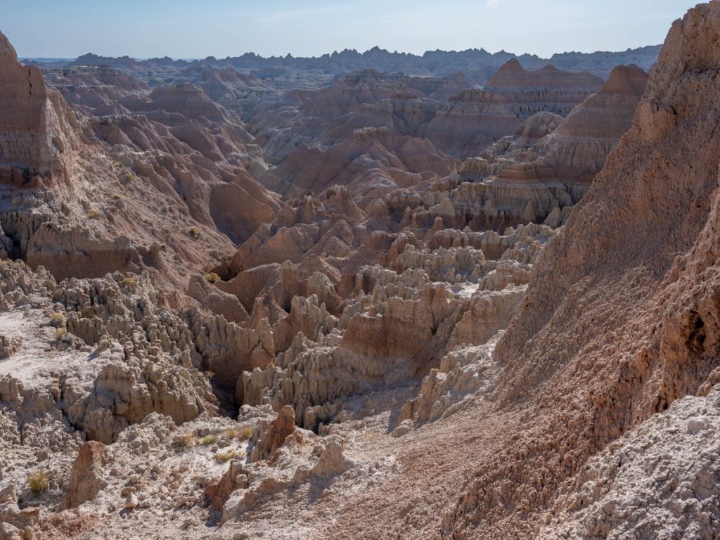 DSCF5871.jpg