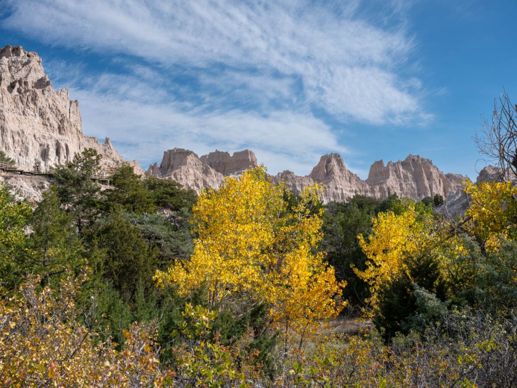 DSCF5953.jpg