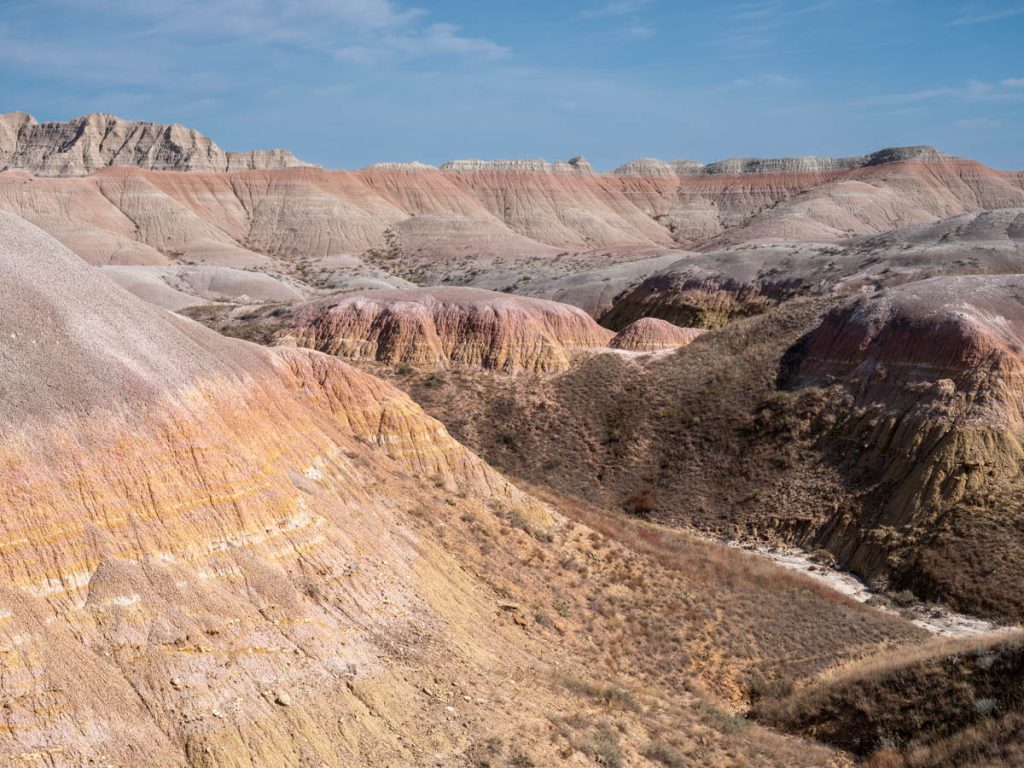 DSCF6029.jpg