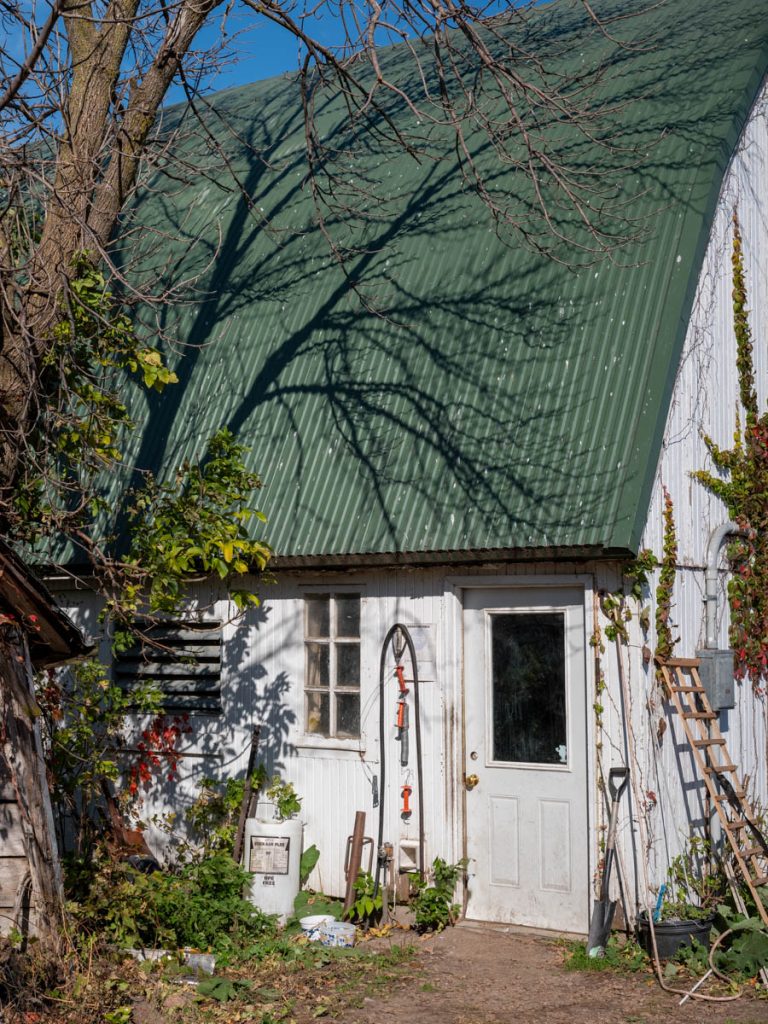 DSCF6225.jpg