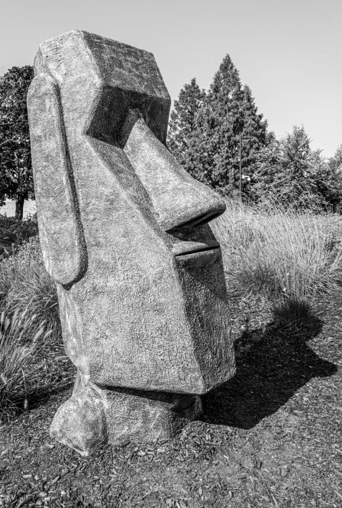 L1000796.jpg